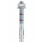 Picture of Throughbolt Option 7 BZP - 16x220