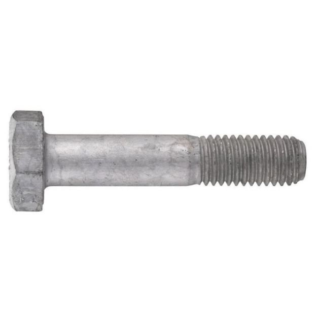 Picture of Hex Bolt 8.8 HD Galv - M10x100