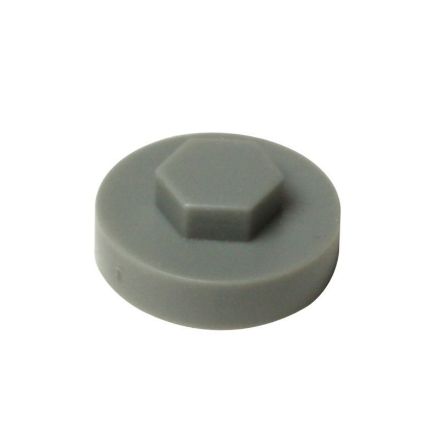 Picture of Colour Caps 19mm - Goosewing Grey