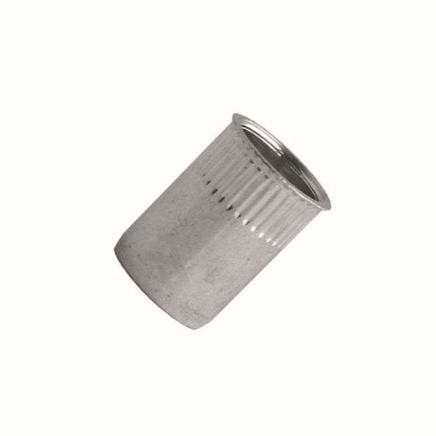 Picture of Riv Nut Steel Reduced Head BZP - M5