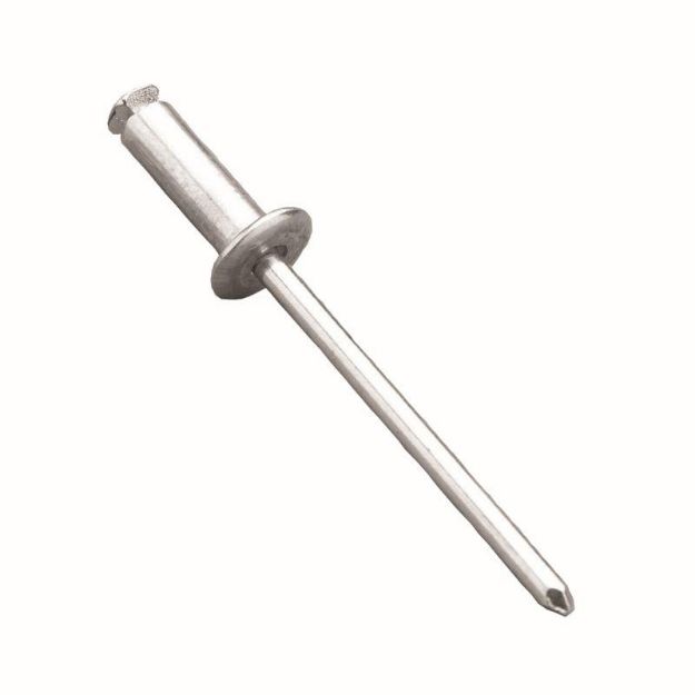 Picture of Rivet Peeled Dome Aluminium - 4.8x24 [19mm]