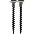 Picture of Drywall Screw Coarse Black Collated Griptorq - 3.5x32